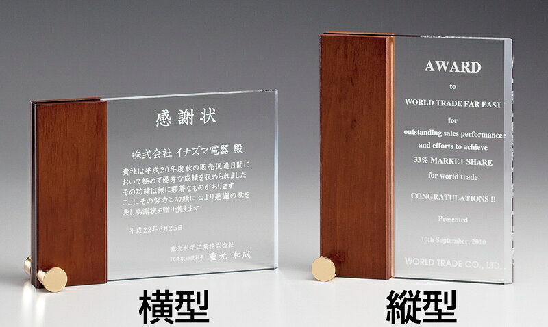 【全品10倍！】ポイントup中-アクリル製楯 S-L25-03 | トロフィー クリスタル 優勝 ガラス バスケ サッカー 野球 ゴルフ スポーツ 表彰 名入れ 卒業 卒団 記念品 景品 コンペ MVP 高級 おしゃれ キレイ モダン