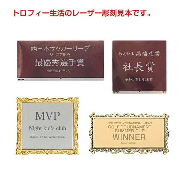 トロフィー生活(立川徽章)の【全品10倍！】ポイントup中-優勝カップ S-NO-4524 | 優勝 優勝トロフィー 優勝カップ サッカー バスケ バスケットボール バスケット 野球 卒団記念品 卒業記念品 卒業 卒団 記念品 部活 ゴルフ 陸上 リボン 記念 大会 引退 イベント｜アングル2
