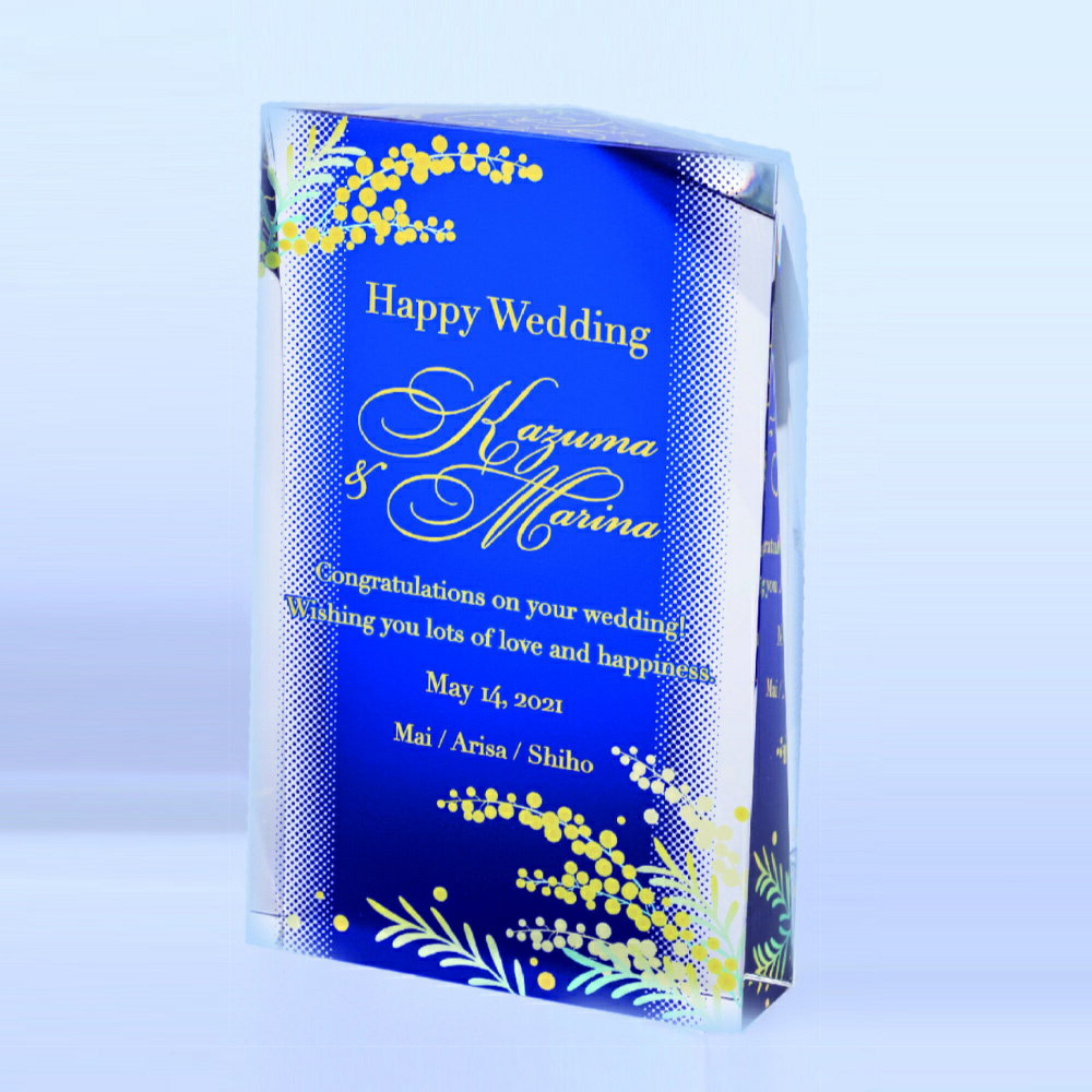 【全品10倍！】ポイントup中-オーダー表彰楯 W-AK-1690 A | トロフィー クリスタル 優勝 ガラス バスケ サッカー 野球 ゴルフ スポーツ 表彰 名入れ 卒業 卒団 記念品 景品 コンペ MVP 高級 おしゃれ キレイ モダン