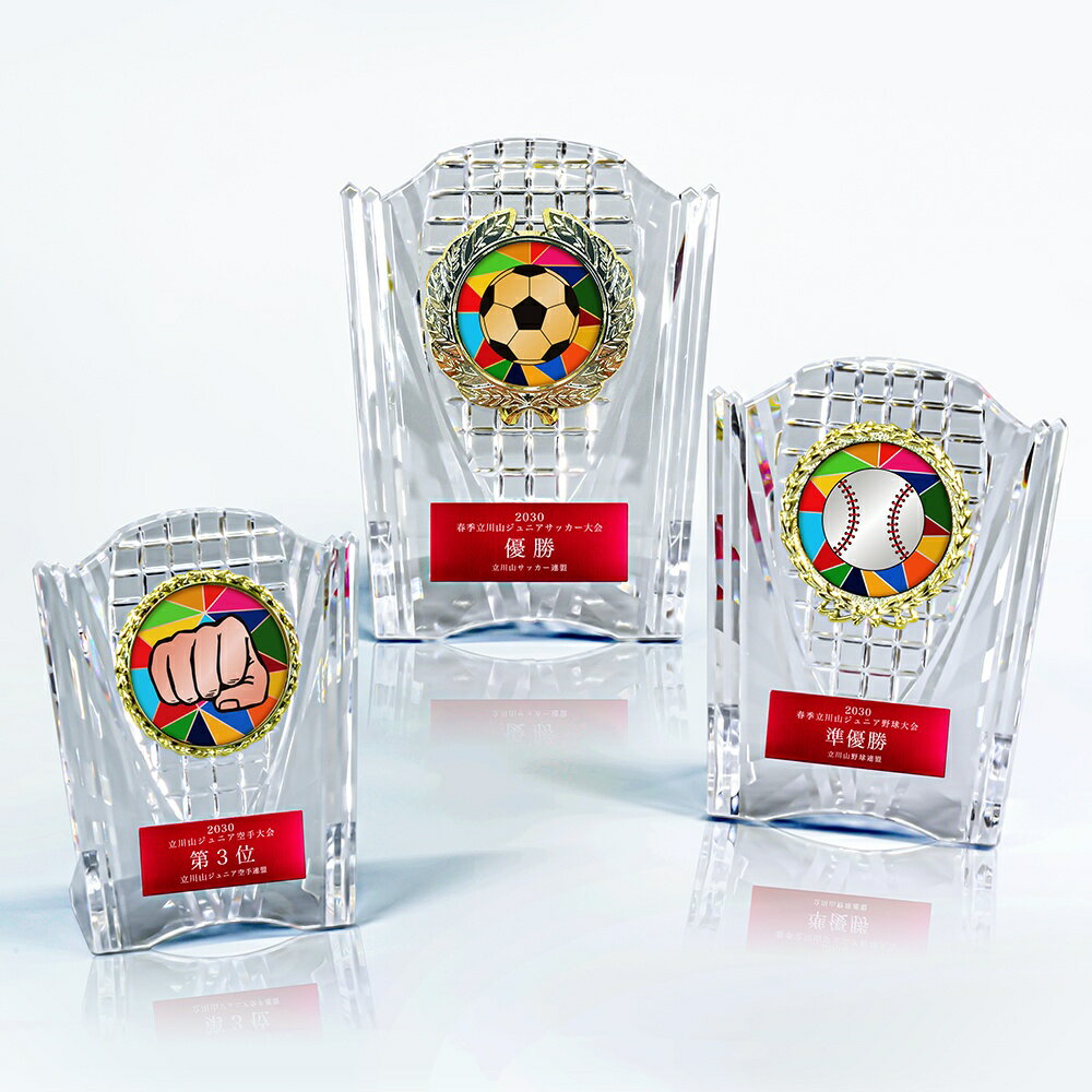 【全品10倍！】ポイントup中-エールアワード AL-707 C | トロフィー クリスタル 優勝 ガラス バスケ サッカー 野球 ゴルフ スポーツ 表彰 名入れ 卒業 卒団 記念品 景品 コンペ MVP 高級 おしゃれ キレイ モダン
