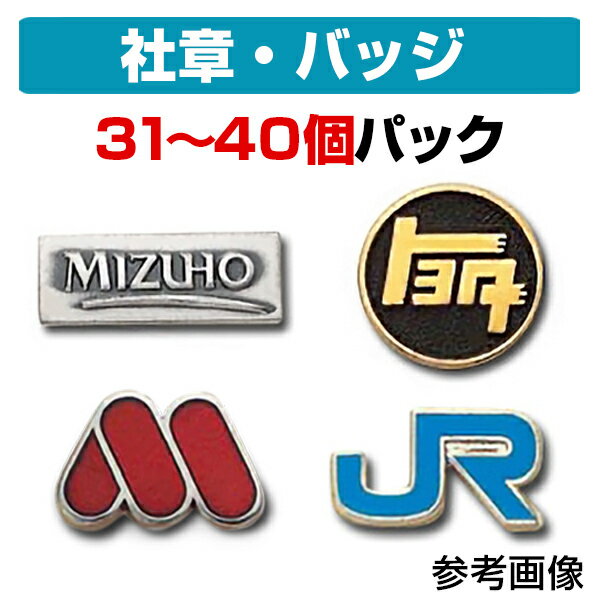 【ケース付き】 社章・会社バッジ作成パック（40個セット価格） | 社章 作成 デザイン 複製 留め ...