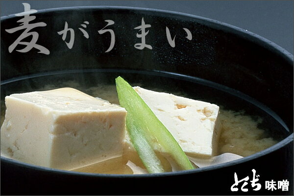 サンプル画像2