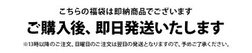プーマ・プーマゴルフ PUMA・PUMA GOLF 日本正規品 日本規格 メンズ 即納 福袋 ゴルフウェア福袋 メンズ福袋 2019年新春福袋 総額13400円以上封入 トップス1点&グッズ2点入り 数量限定 お早めに! 送料無料 ゴルフウェア