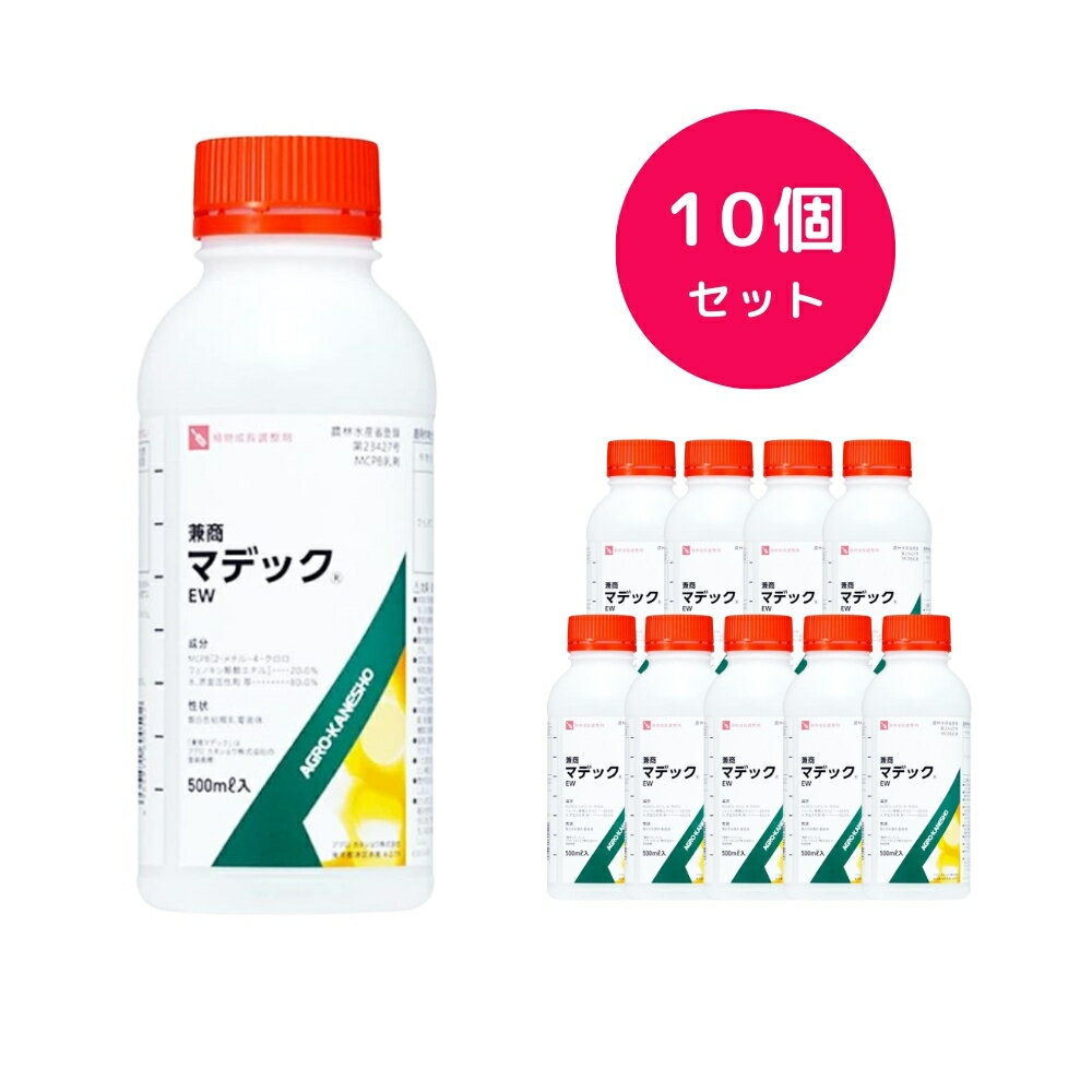 10ĥåȡ ޥǥåEW 500ml ʪĹĴ 󤭤   Ӹ ʤ 