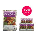【10個セット】 ジマンダイセン水和剤 250g 殺菌剤 総合防除 玉ねぎ バラ イチゴ サビダニ ハダニ類 オンシツコナジラミ スリップス