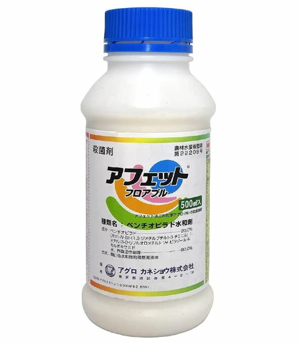 ���ե��åȥե����֥� 500ml ����� �����Ȥ� ��� ����� ��� �ʤ� ����� �ޥ��� �֥롼�٥꡼