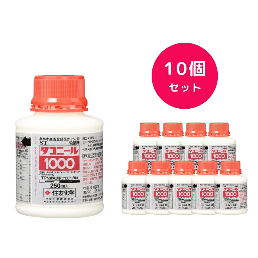 10ĥåȡ ˡ1000 250ml 绦ݺ ե֥륿  ֤ տʪ  Ĥ   