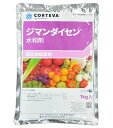 【10個セット】 ジマンダイセン水和剤 1kg 殺菌剤 総合防除 玉ねぎ バラ イチゴ サビダニ ハダニ類 オンシツコナジラミ スリップス
