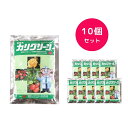 【10個セット】 カリグリーン 250g 殺菌剤 うどんこ病 さび病 灰色かび病