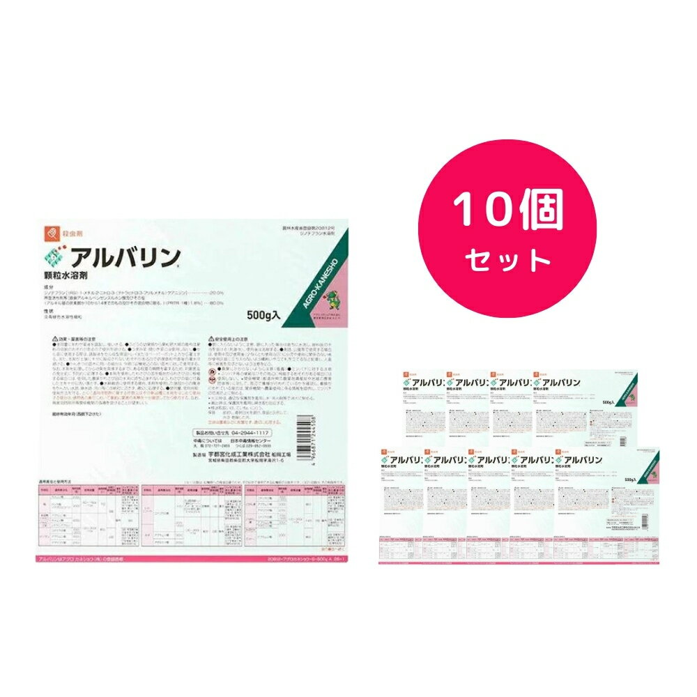 ��10�ĥ��åȡ� ����Х����γ���Ϻ� 500g ��� �̼� �� ����ॷ ���ʥ���� �ϥ⥰�ꥬ ���֥�ॷ ���������ͥ��祦