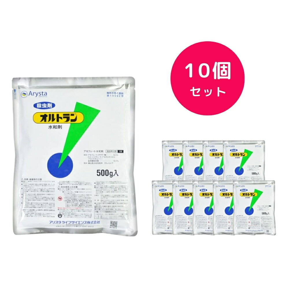 10ĥåȡ ȥº 500g ॷ ֥ॷ ߥ  ֤ɤ ޤͤ  ֤