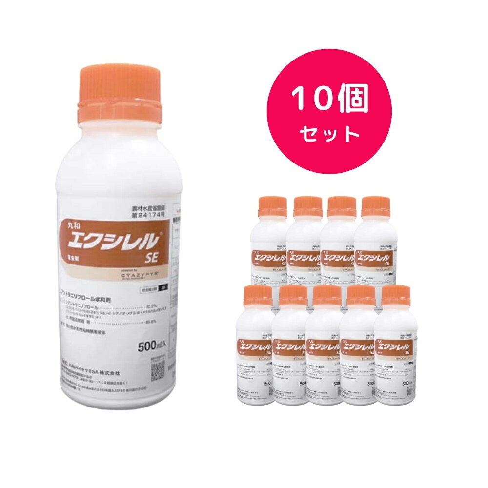 10ĥåȡ SE 500ml  ǥ ڱ