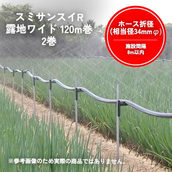 スミサンスイ R露地ワイド 120m巻 2巻 WB1042 暑さ対策 住化農業資材