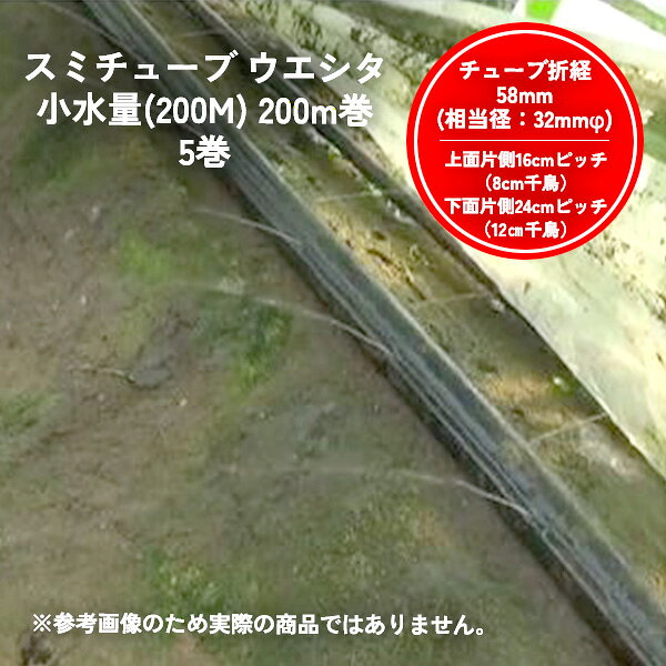 製品の特長 長距離でも均一な灌水を実現: 散水孔のピッチと孔径を調整することで、標準タイプより少ない水量で灌水できるよう設計されています。これにより、80m〜90mといった奥行きの長いハウスでも、奥の株までムラなく均一に水が行き渡り、生育のバラつきを防ぎます。 一本で二役の機能はそのまま: 上（噴霧散水）面：定植後の活着促進や葉水灌水に最適な優しいミストを供給します。 下（水平散水）面：マルチ敷設後に株元へピンポイントで水を供給します。 高い耐久性: 耐久性の高い特殊ポリエチレン製で、チューブ表面にはエンボス加工とシリコン塗布が施されており、マルチフィルムへの張り付きを防ぎ、設置や回収を容易にします。 適用作物: 主にイチゴの長期・長尺栽培ハウスに最適です。 長いハウスで水管理の均一性に課題を持つ農家様に、特におすすめの高性能なイチゴ専用チューブです。 ※月曜日は発送業務が行われません。月曜日が祝日の場合、火曜日の発送業務が行われません。 ※ストアの納期情報は適切な表記がおこなれない可能性がございますので、こちらを優先していただけますと幸いです。 ※北海道、沖縄、離島は発送不可になります。 ※パッケージは変更になる場合があります。 ※適応に関する記載は最新ではない可能性があります。 　最新情報はメーカー情報をご確認ください。関連商品【5巻セット】スミチューブ 06-60 200m巻 0.6mm直径大孔...【5巻セット】スミチューブ ウエシタ 200m巻 0.3mm直径(上)...55,140円55,140円【2巻セット】スミサンスイ R育苗 110m巻 高畝対応 WB1064...【2巻セット】ミストエース S72 100m巻 サイド灌水 WB10...55,690円52,910円【2巻セット】ミストエース S54 100m巻 サイド灌水 WB107...【2巻セット】スミサンスイ R ウォーターカーテン 100m巻 WB...52,910円52,910円【2巻セット】 ミストエース35 ダブルウイング 100m巻 両側 霧...【2巻セット】ミストエース35 サイドライン 100m巻 片側 霧状噴...54,200円54,200円ディスクフィルター 50用 エレメント 80メッシュ 黄 砂取器 ろ...【50個セット】スミレイン50用ニップル スミレイン50専用 継手 W...52,610円53,000円