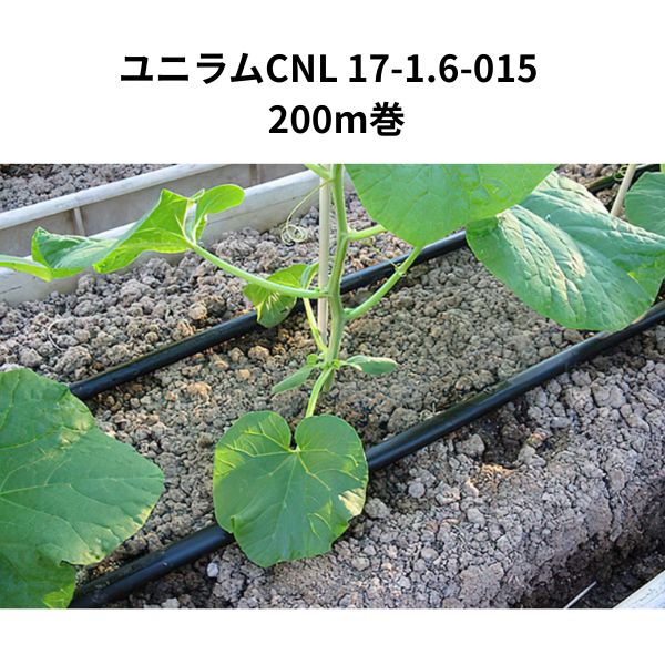 ��˥��CNL 17-1.6-015 200m�� 1�� WB6772 �������Ȼ��