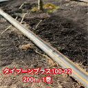 タイフーンプラス100-02 200m 1巻 WB6313 住化農業資材