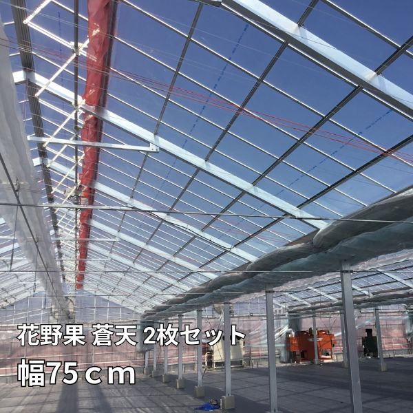 Tѥ㤨֡2祻åȡ ̡ŷ 75cm ٤Ĺ POե Ʃ  ӥˡϥ ѿեפβǤʤ330ߤˤʤޤ