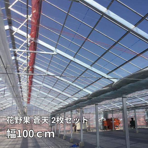 【2枚セット】 花野果　蒼天 幅100cm 選べる長さ POフィルム 透明 農業用 ビニールハウス用 住化積水フ..