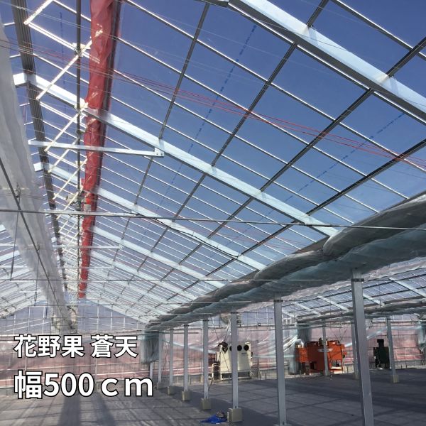 ����̡���ŷ ��500cm ���٤�Ĺ�� PO�ե���� Ʃ�� ������ �ӥˡ���ϥ����� �����ѿ�ե����