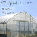 流摘剤塗布型 農PO のびやか 伸野果 幅185cm 0.1ミリ厚 ご希望の長さを数量で入力 m単位カット 中期展張