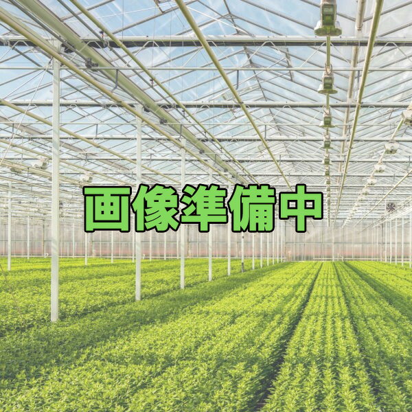 パッカー式吊り具19S(ミストエースS用) ハウス支柱径19ミリΦ用 100組 WB6920 住化農業資材