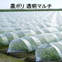 耐久農ポリ 透明 厚み0.1mm 幅180cm 100m 3本販売 ビニールハウス マルチング マルチシート 光線透過 低温 地温上昇
