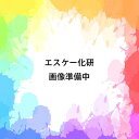 ミラクカチオンフィラー 20kg グレー 下地調整塗材 セメント フィラー アクリルカチオン系エマルション エスケー SK