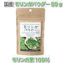 モリンガパウダー 50g ノンカフェインの濃厚モリンガパウダー