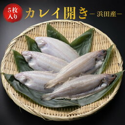 カレイ 開き 浜田産 5枚 約120g 中サイズ ササカレイ 干物 国産 ギフト 高級 プレゼント 内祝い 結婚 お祝い 魚 グルメ おかず おつまみ 詰め合わせ