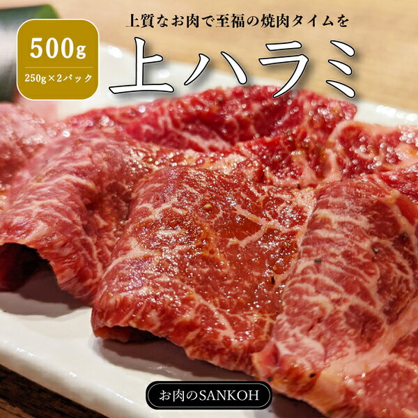 I n~ 500g 250g~2pbN 炩 t ͂ n~ ē  Ԑg o[xL[ BBQ 3l`4l