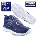 2025 Babolat バボラ テニスシューズ オールコート メンズ エスエフエックス エボ / SFX Evo AC M (3A0S25A555) ダークブ...