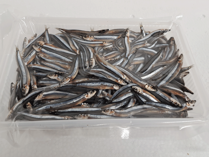 楽天市場】太刀魚 キビナゴ 冷凍の通販