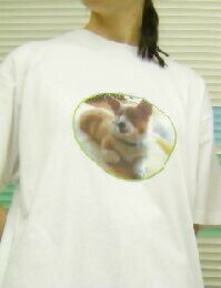 写真/絵プリント長袖Tシャツ -1ポイントプリント-!!pt1 ..