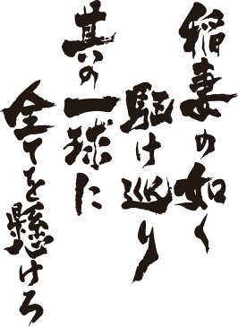 【稲妻の如く駆け巡りその一球に全てを懸けろ(縦書)】書道家が書く漢字Tシャツ これぞ本物の筆文字。書道家が魂こ込めた書いた文字を和柄漢字Tシャツにしました。 ☆今ならオリジナルTシャツ2枚以上で【送料無料】☆ 名入れ 誕生日プレゼント 【楽ギフ_名入れ】 pt1 ..