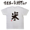 書道家が書く漢字Tシャツ おもしろTシャツ 本物の筆文字を使用したオリジナルプリントTシャツ書道家が書いた文字を和柄漢字Tシャツにしました ★ 名入れ 誕生日プレゼント  pt1 ..