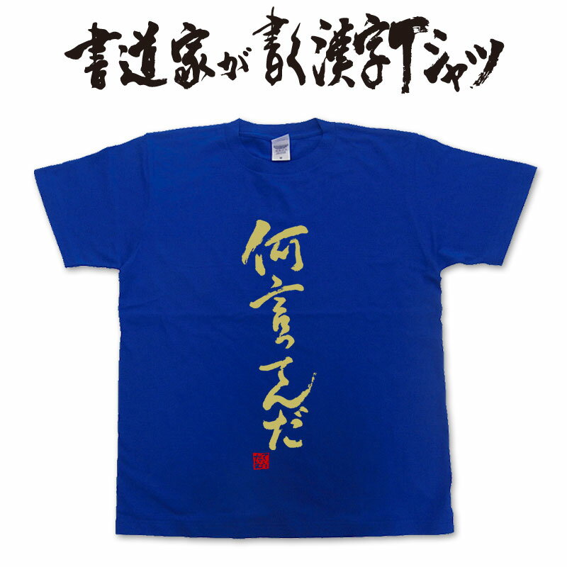 【何言ってんだ】書道家が書く漢字Tシャツ おもしろTシャツ ★ 本物の筆文字を使用したオリジナルプリントTシャツ書道家が書いた文字を和柄漢字Tシャツにしましたpt1 ..