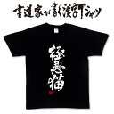 極悪猫 (縦書き） 書道家が書く漢字Tシャツ 猫tシャツ ねこtシャツ 猫　プリント tシャツ 面白 tシャツ おもしろ プレゼント tシャツ 筆文字tシャツ 大きいtシャツ グリマーtシャツ グリマー ドライtシャツ 選べます ★【メール便送料無料】 名入れ 誕生日プレゼント