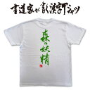 【森の妖精】書道家が書く漢字Tシャツ 妖精 tシャツ 森ガール tシャツ 面白 tシャツ おもしろ プレゼント tシャツ 筆文字tシャツ 大きいtシャツ グリマ...