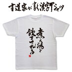 煮え湯を飲まされる (縦書) 書道家が書く漢字Tシャツ 本物の筆文字を使用したオリジナルプリントTシャツ書道家が書いた文字を和柄漢字Tシャツにしましたpt1 ..