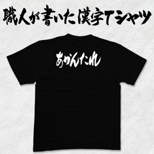 ◆あかんたれ(横書)◆日本一に輝いた現代の名工が書く漢字Tシャツ T-timeオリジナル おもしろTシャツ プリントTシャツ カスタムオーダーメイド可能な筆文字Tシャツ ☆今ならオリジナルTシャツ2枚以上で【送料無料】☆ 名入れ 誕生日プレゼント 【楽ギフ_名入れ】 pt1 ..