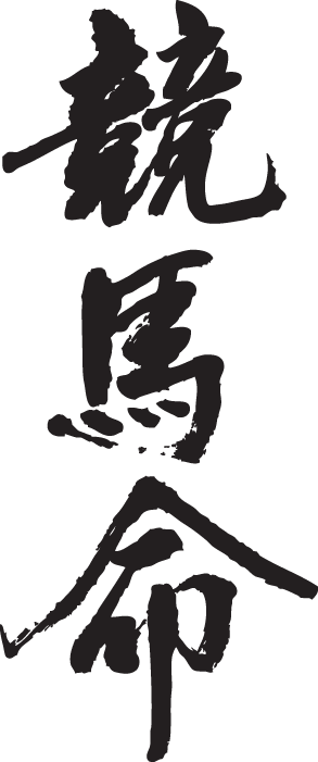 ◆競馬命(縦書)◆日本一に輝いた現代の名工が書...の紹介画像2