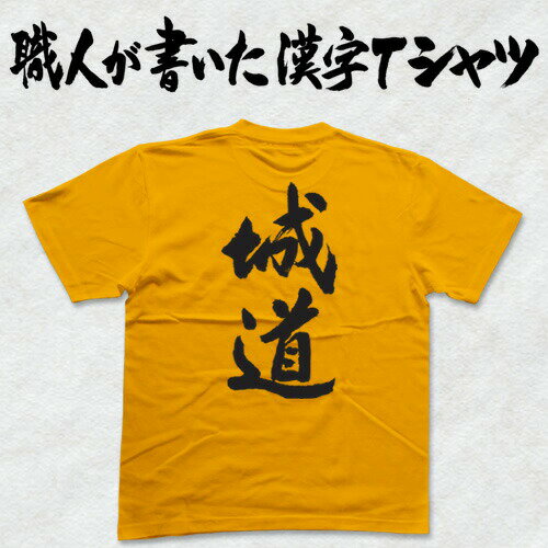 ◆城道(縦書)◆日本一に輝いた現代の名工が書く漢字Tシャツ T-timeオリジナル おもしろTシャツ プリントTシャツ カスタムオーダーメイド可能な筆文字Tシャツ ☆今ならオリジナルTシャツ2枚以上で【送料無料】☆ 名入れ 誕生日プレゼント 【楽ギフ_名入れ】 pt1 ..