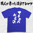 ◆てきとうだもの(縦書)◆日本一に輝いた現代の名工が書く漢字Tシャツ T-timeオリジナル おもしろTシャツ プリントTシャツ カスタムオーダーメイド可能な筆文字Tシャツ ☆今ならオリジナルTシャツ2枚以上で【送料無料】☆ 名入れ 誕生日プレゼント 【楽ギフ_名入れ】 pt1 ..