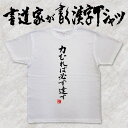 【力むれば必ず達す】書道家が書く漢字Tシャツ おもしろTシャツ 本物の筆文字を使用したオリジナルプリントTシャツ 和柄漢字Tシャツ ☆今ならオリジナルTシャツ2枚以上で送料無料☆ 名入れ 誕生日プレゼントpt1 ..(4)