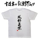 【風邪気味】書道家が書く漢字Tシャツ おもしろTシャツ 本物の筆文字を使用したオリジナルプリントTシャツ 和柄漢字Tシャツ pt1 ..