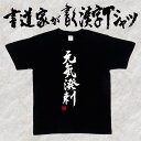 【元気溌剌】書道家が書く漢字Tシャツ おもしろTシャツ 四字熟語 本物の筆文字を使用したオリジナルプリントTシャツ 和柄漢字Tシャツ pt1 ..