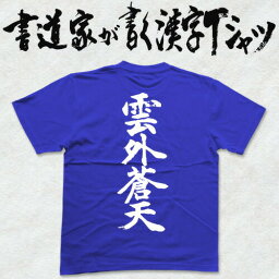 【雲外蒼天】書道家が書く漢字Tシャツ おもしろTシャツ 本物の筆文字を使用したオリジナルプリントTシャツ書道家が書いた文字を和柄漢字Tシャツにしましたpt1 ..