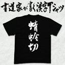 【蜻蛉切】書道家が書く漢字Tシャツ 名刀 おもしろTシャツ 戦国シリーズ 天下三名槍 本物の筆文字を利用したオリジナルプリントTシャツ メンズ レディース 子供服 大きいサイズ 4L 5L もあります ドライTシャツ も選べます メール便送料無料