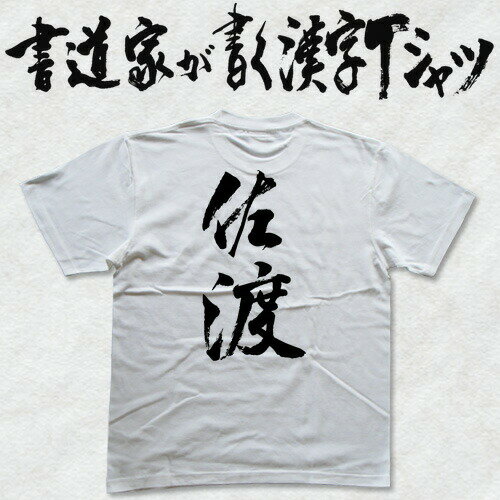 【佐渡】書道家が書く漢字Tシャツ おもしろTシャ...の商品画像