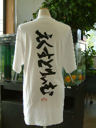 えくすとりぃむ (縦書） 書道家が書く漢字Tシャツ おもしろTシャツ 本物の筆文字を使用したオリジナルプリントTシャツ書道家が書いた文字を和柄漢字Tシャツにしましたpt1 ..